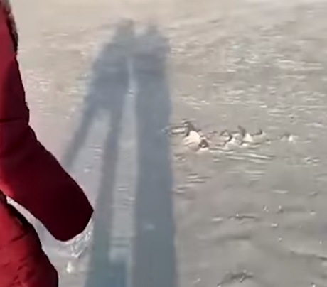 Азовско море пресъхна, видя му се дъното ВИДЕО