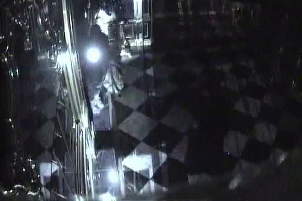 Зрелищно ВИДЕО как крадци с брадви грабят несметните съкровища в Дрезден