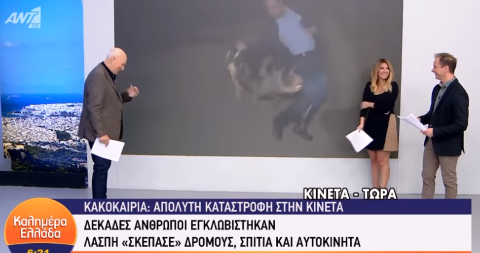 Няма такъв смях: Свиня нападна репортер в ефир ВИДЕО 