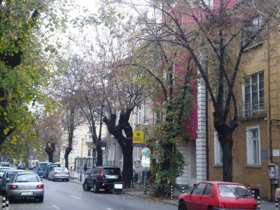 Родни паралии завъртяха доходоносен бизнес със скъпите си къщи в чужбина 