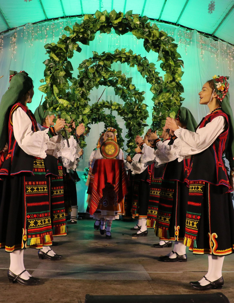 Грейна най-високото живо коледно дърво в България СНИМКИ