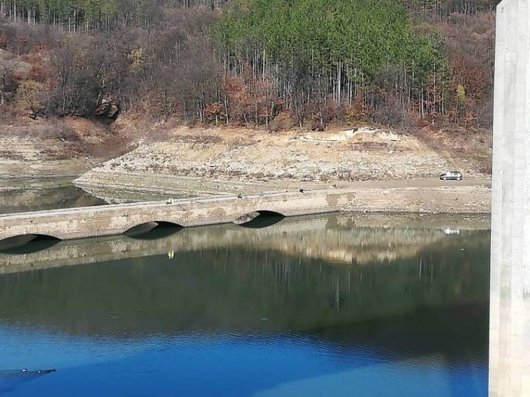 Такова чудо във Варненско не се е случвало от десетки години ВИДЕО 