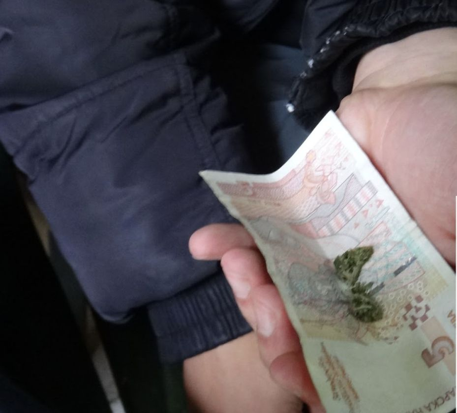 Престъпен бизнес за милиони завъртяха в Родопите 