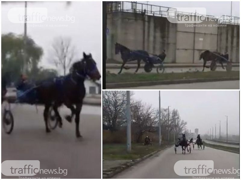 Бързи и яростни! Цигани от Столипиново в опасна надпревара с каруци ВИДЕО 