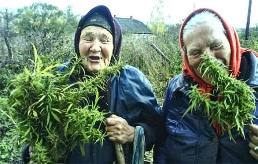 Крими бабка на 78 години от столичния "Люлин" го закъса здравата