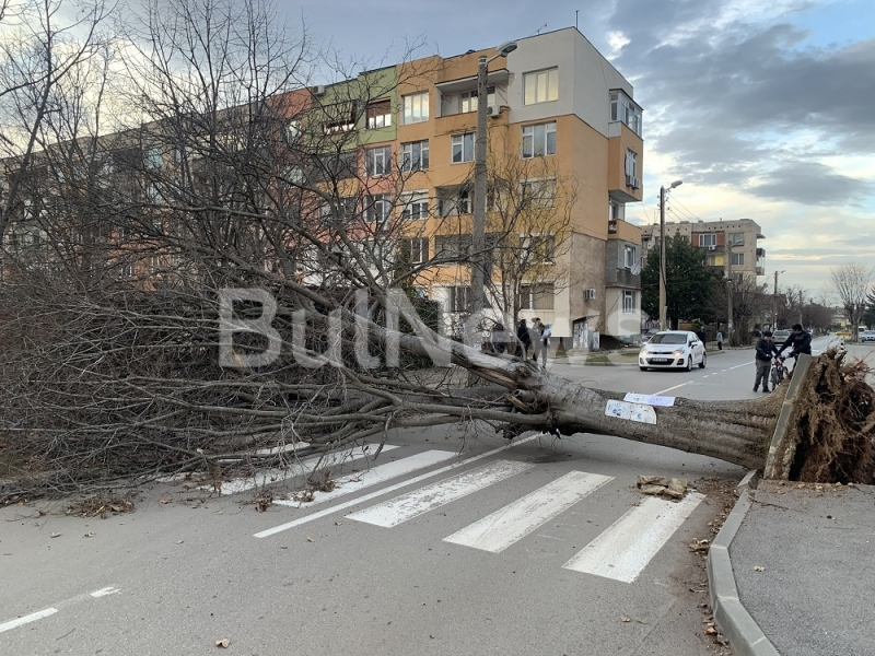 В София и Враца е като след война! Ето какво се случва СНИМКИ