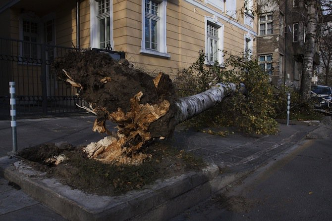Как се възстановява Враца след свирепата буря
