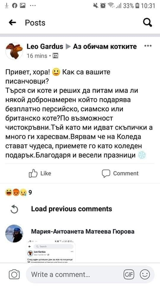 Издирва се! Изрод от София прибира котета и кучета, а после ги дере или препарира 