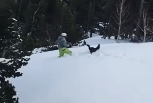 Зрелищно ВИДЕО показва борбата на живот и смърт между сноубордист и глухар 