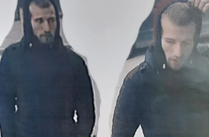Познавате ли тези помияри? Много нагли крадци са СНИМКИ 