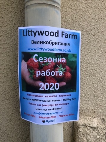 Мошеници заляха Гоце Делчев с примамлива оферта за работа в чужбина, но... 