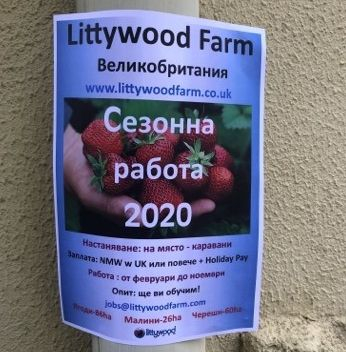 Мошеници заляха Гоце Делчев с примамлива оферта за работа в чужбина, но... 