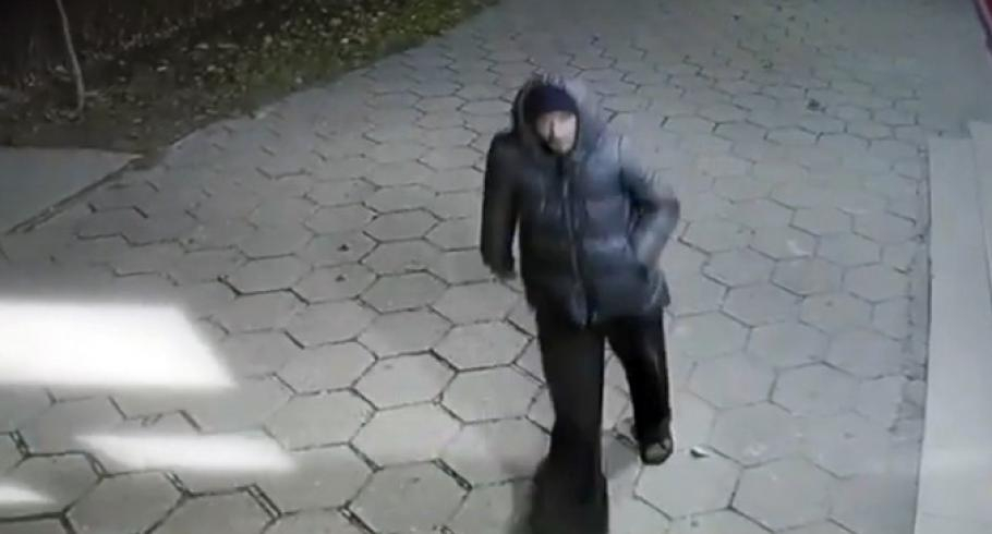 ВИДЕО запечата какви ги върши нагъл циганин в магазин в Казанлък 