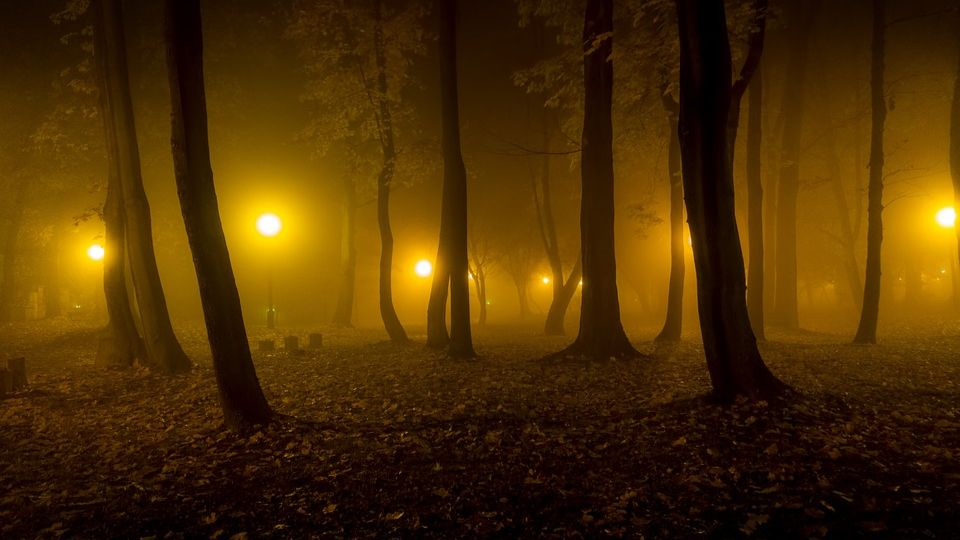 Денят става нощ: Три случая в историята, когато пълен мрак пада посред бял ден