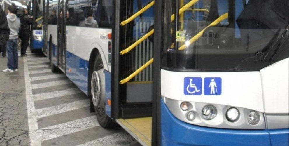 Това ли е най-известното бездомно куче в цяла София? СНИМКА 