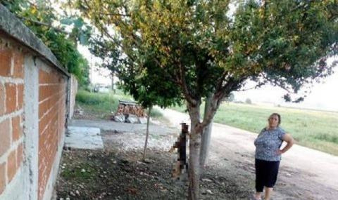 Циганката, която обеси кучето си на дърво: Стана ми много мъчно