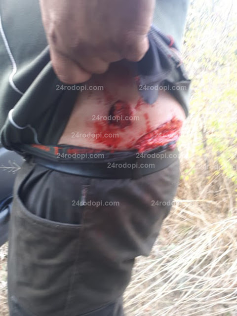 Филм на ужасите в Родопите: Опитен авджия гръмна огромен глиган, но звярът не се предаде и... СНИМКА 18+