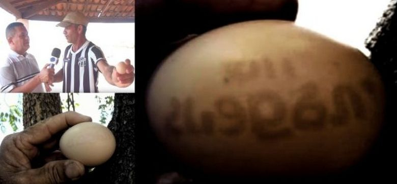 Кокошка снесе яйце с датата на Апокалипсиса ВИДЕО