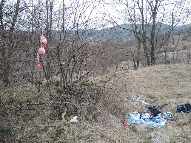 Храстите в Родопите могат да родят какво ли не, дори и сутиен СНИМКА 