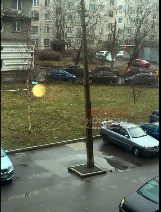 Красавица умря безумно нелепо, докато си разхождаше кучето СНИМКИ 