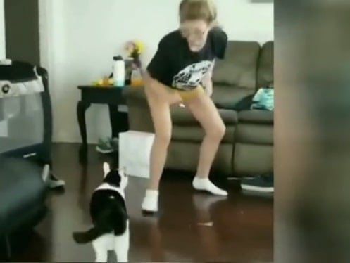 Не събуждайте звяра: Котка отмъсти жестоко на момиче ВИДЕО