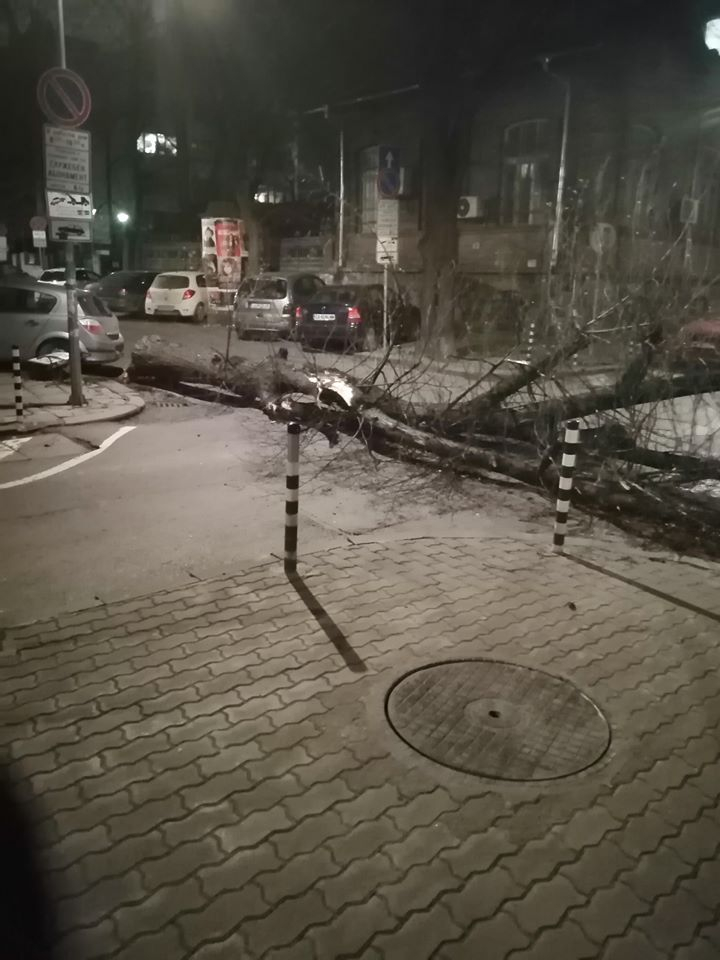 ‎Страшна буря фучи из София и прави куп бели! Във ВМА е направо опасно! Зрелищни СНИМКИ