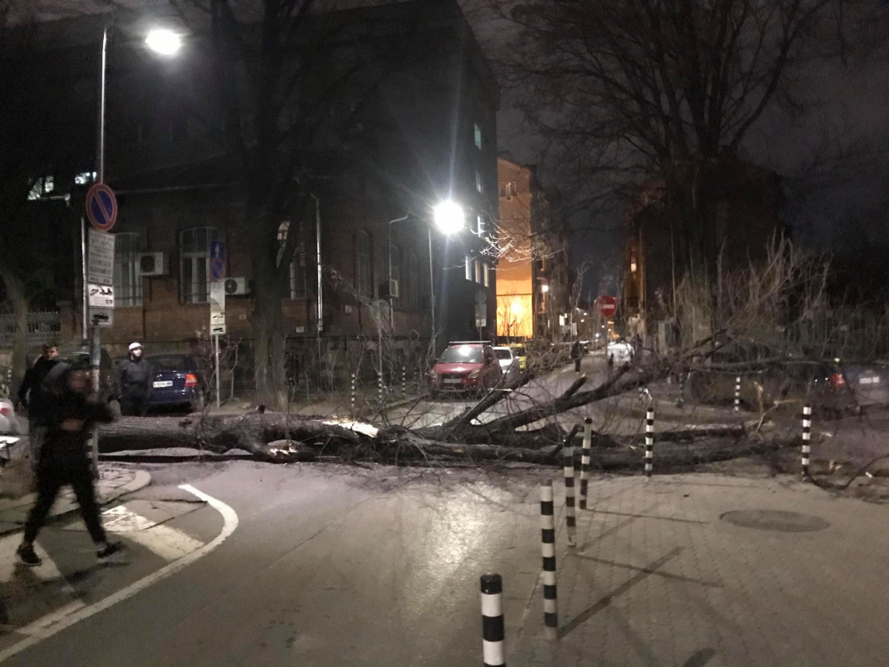 ‎Страшна буря фучи из София и прави куп бели! Във ВМА е направо опасно! Зрелищни СНИМКИ