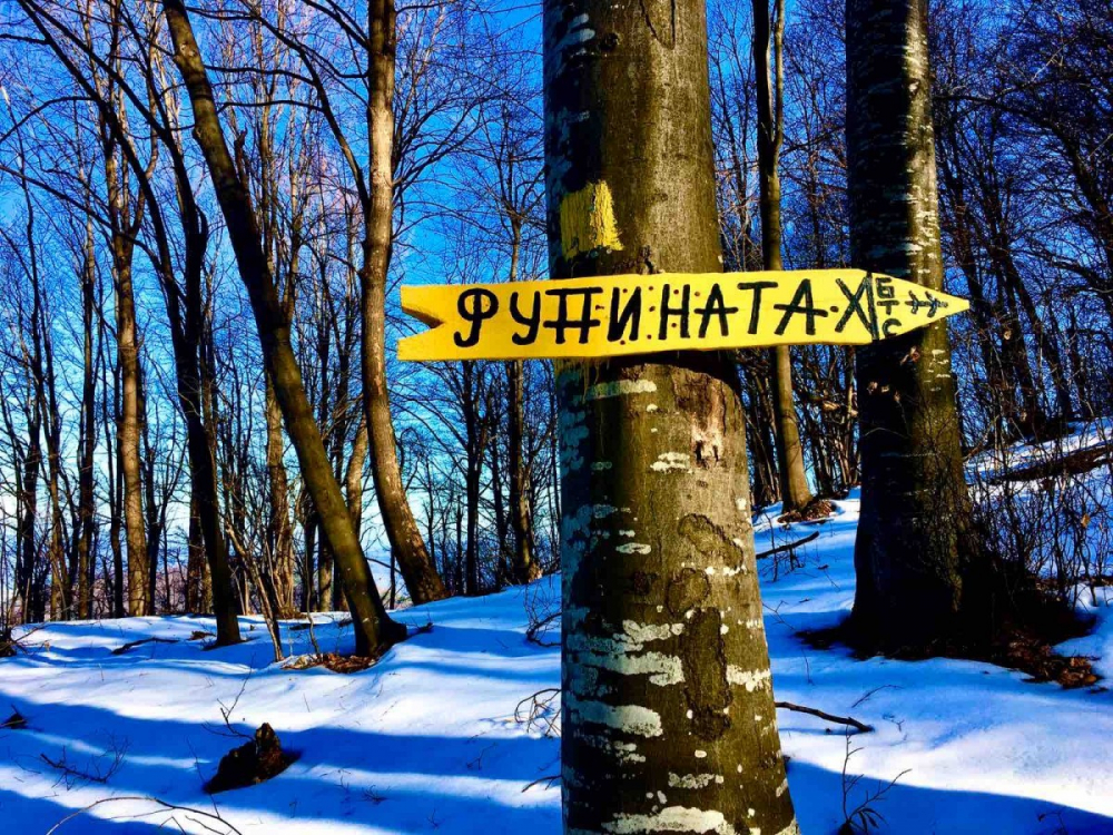 Туристи се натъкнаха на ужасяваща находка в хижа "Рудината"  