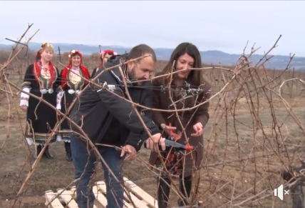Херо Мустафа нагази в лозе, за да е берекет ВИДЕО