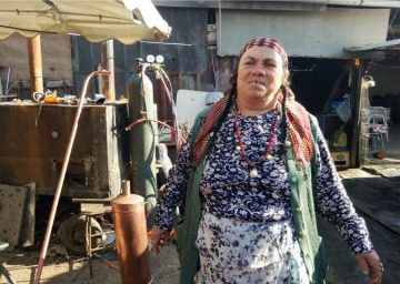 Брюксел рекламира със 700 бона сафари в ма'алата във Видин и Монтана