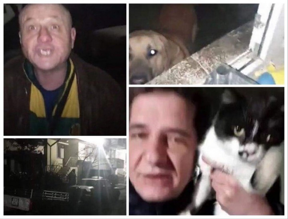 Общинар от Созопол алармира: Психично болен тормози куче и пет котки в дома си ВИДЕО