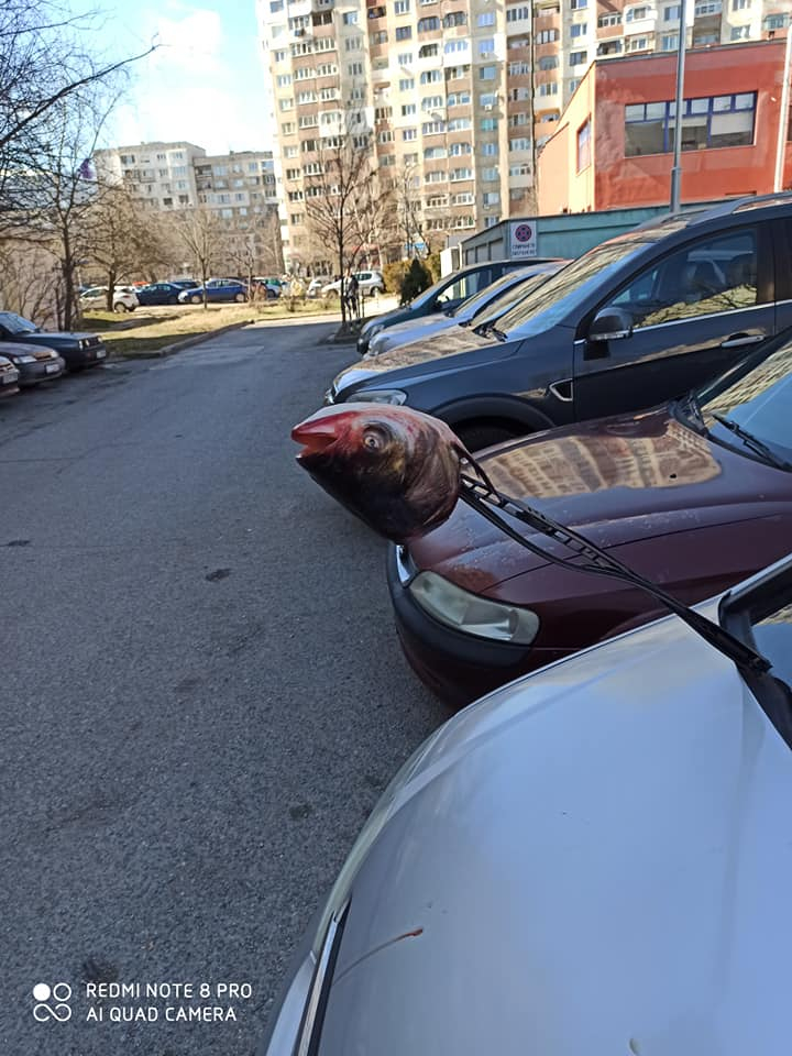 Вендета в София! На този шофьор ще му се стъжни като види колата си СНИМКИ