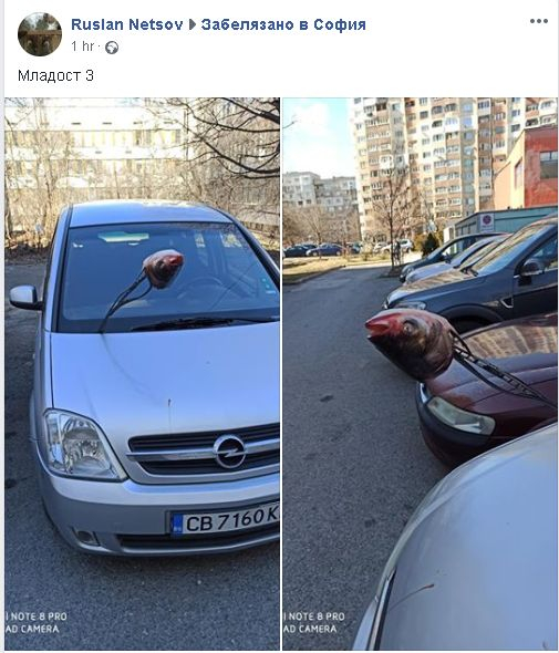Вендета в София! На този шофьор ще му се стъжни като види колата си СНИМКИ