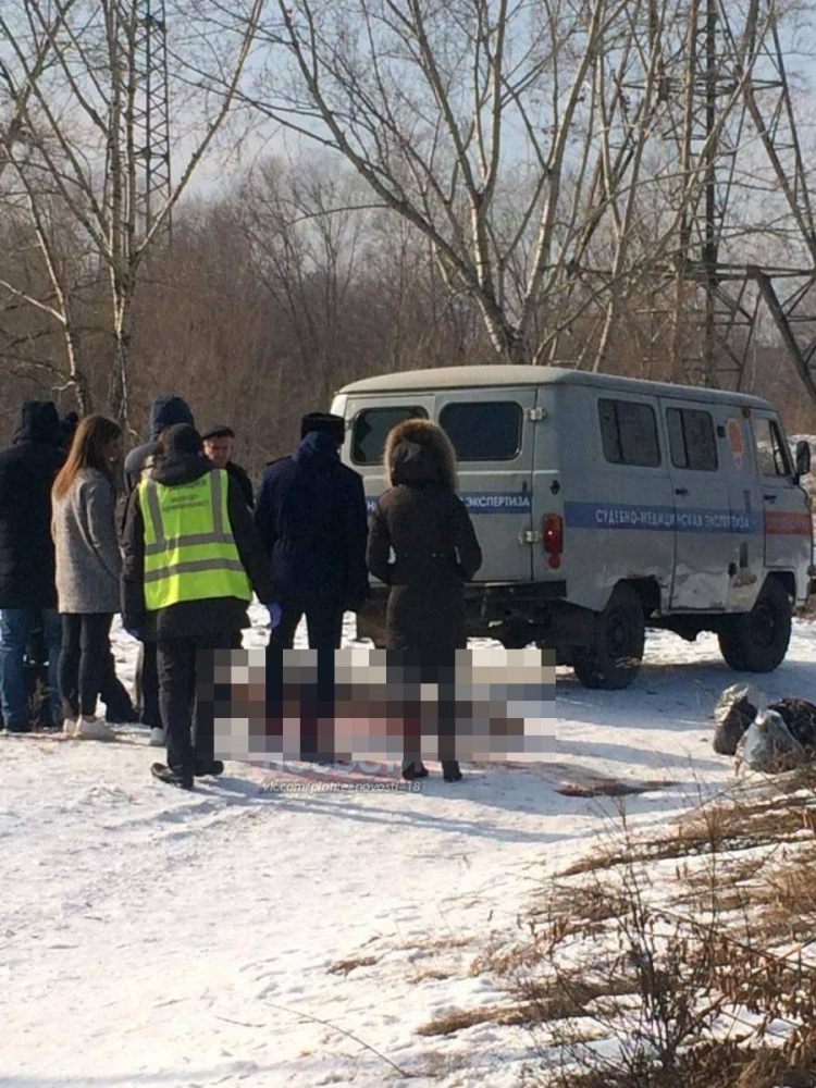 Свирепа глутница бездомни кучета напада и убива хора наред СНИМКА 18+