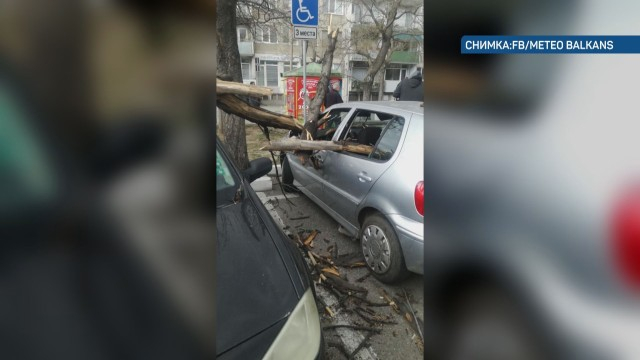 Страшен вятър отвя Асеновград, сътвори големи поразии СНИМКИ 