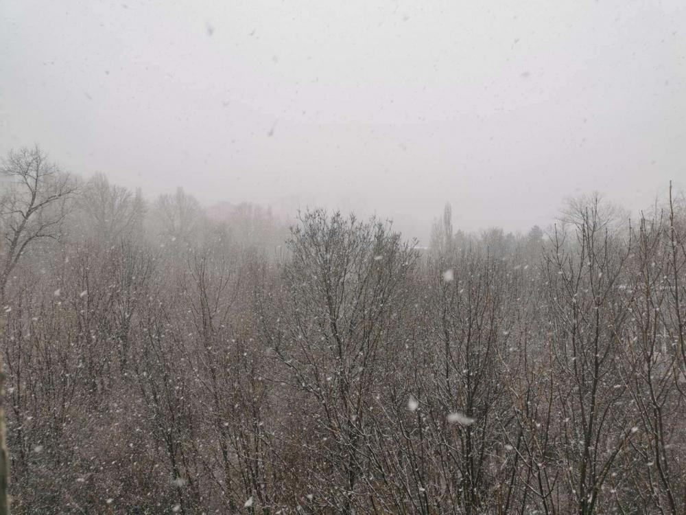 София се превърна в снежна приказка насред топлото време СНИМКИ