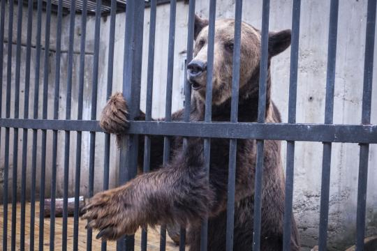 Новината за тази кончина натъжи цяла България! 