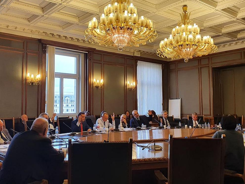 Доброволните отряди към МВР минаха през вътрешната комисия на парламента