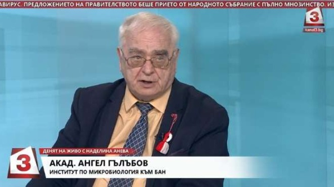 Акад. Гълъбов препоръча едно средство от 3 билки срещу COVID-19