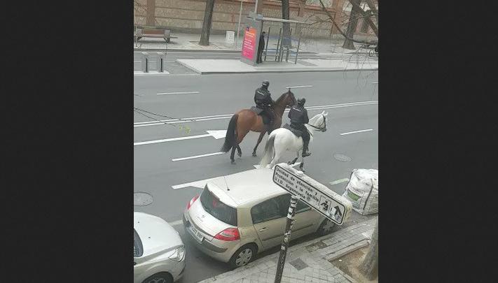 Луда гонка с кон и колоездач, нарушил карантината ВИДЕО