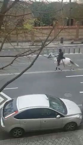 Луда гонка с кон и колоездач, нарушил карантината ВИДЕО