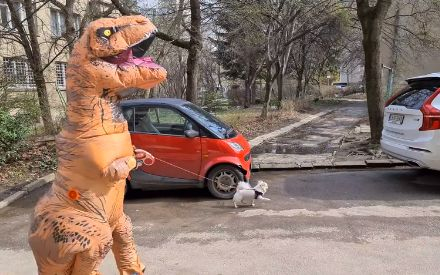 Столичанин с кученце шашардиса всички в Борисовата градина СНИМКИ
