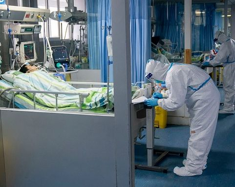 Светило в биологията препоръча лесен лек срещу COVID-19 