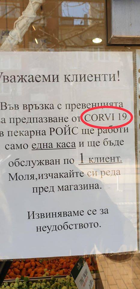 Два нови и невиждани в света вируса удариха България СНИМКИ