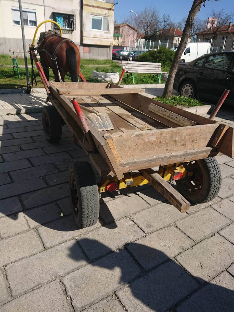 Екшън с циганска каруца в "Столипиново" СНИМКИ