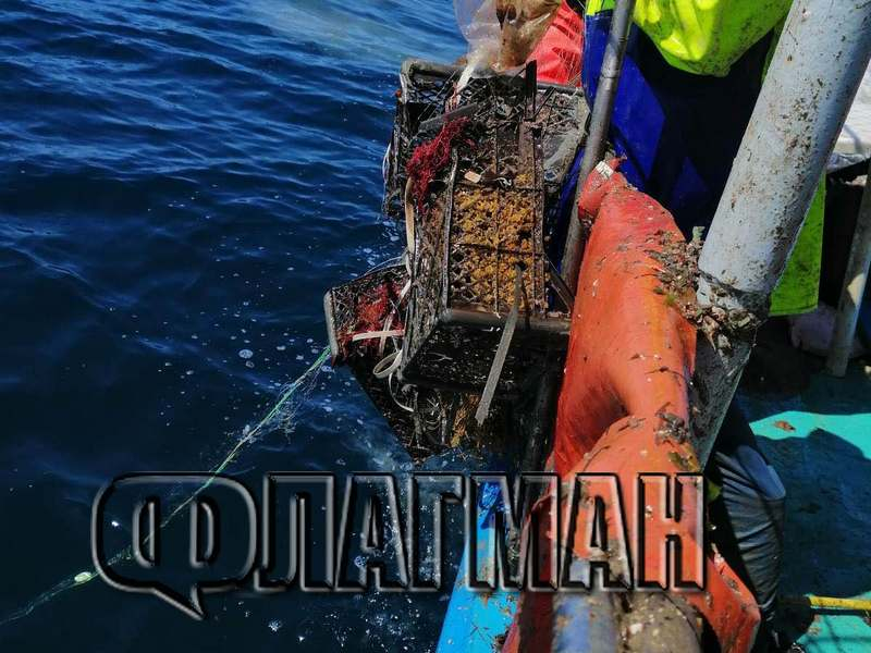 Рибари от Несебър извадиха ужасяващи твари от Черно море ВИДЕО 
