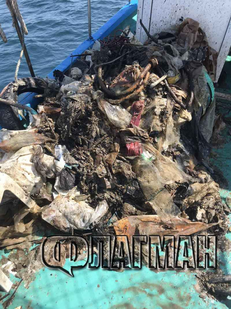 Рибари от Несебър извадиха ужасяващи твари от Черно море ВИДЕО 