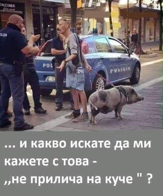 Мрежата гръмна: Джинджифилът гони по цена златото СНИМКИ 18+