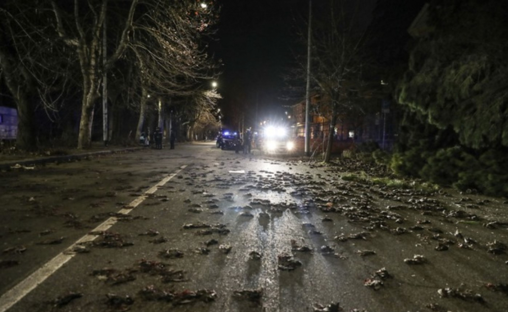 Какво се случва!? В цяла Европа от небето падат мъртви птици СНИМКИ