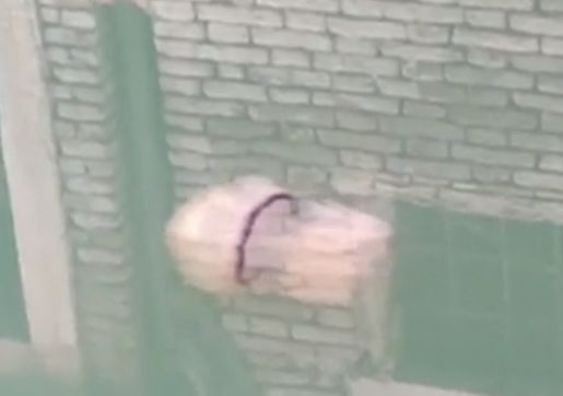 Шокираща гледка в каналите на Венеция, появи се... ВИДЕО